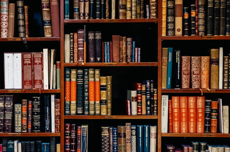 De golf van detransitie-rechtszaken in de VS: 28 zaken, één historische overwinning en wat er nu volgt