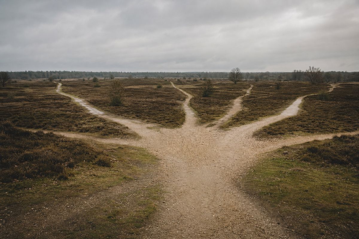 Vijf paden naar detransitie: nieuwe studie ontleedt de psychologische mechanismen achter transitie en terugkeer